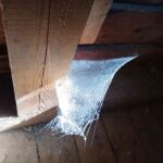Dicht gespanntes Netz