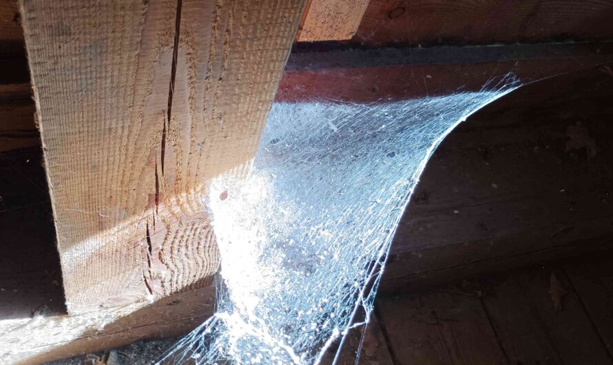 Dicht gespanntes Netz