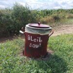 Bleib Sau