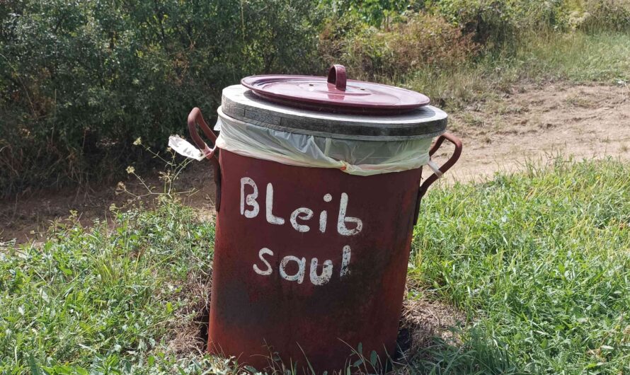Bleib Sau