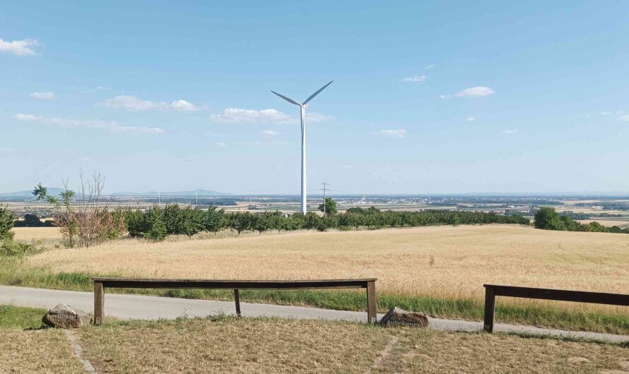 Karpatenblick