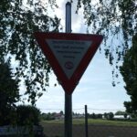 Smartphone Pause