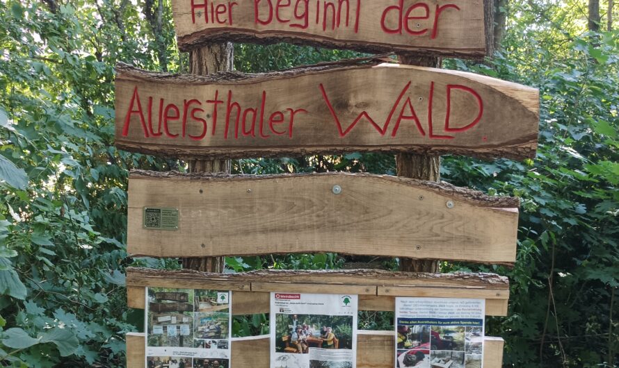 Auersthaler Wald