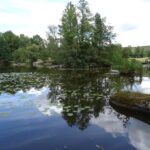 Blockheide Teich