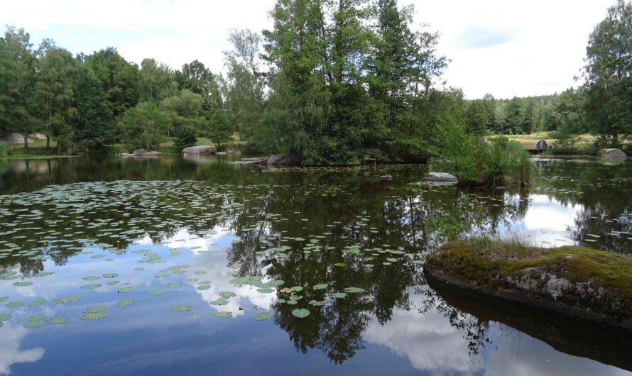 Blockheide Teich