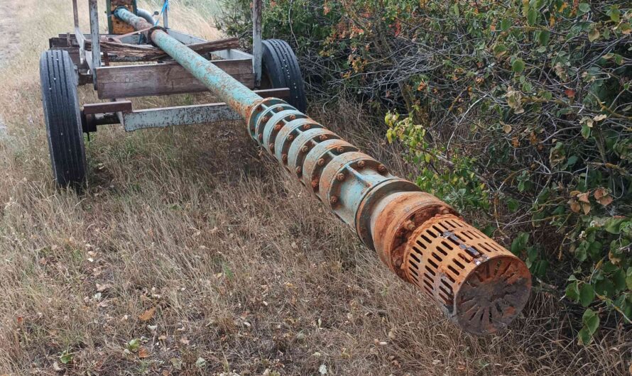 Brunnenmotorpumpe auf Wagen