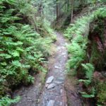 Schluchtenweg zum Kummerbauer
