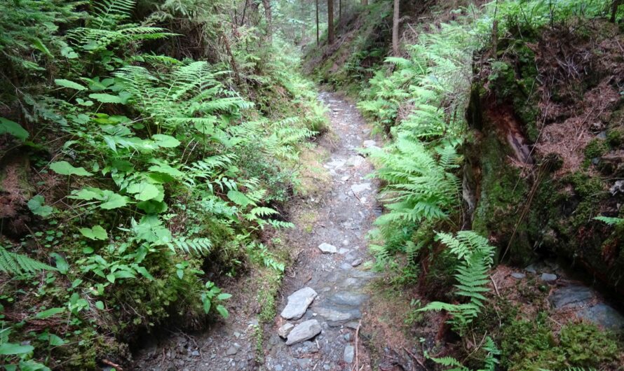 Schluchtenweg zum Kummerbauer