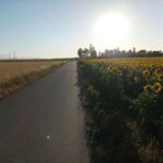 Radweg vor dem Roten Kreuz
