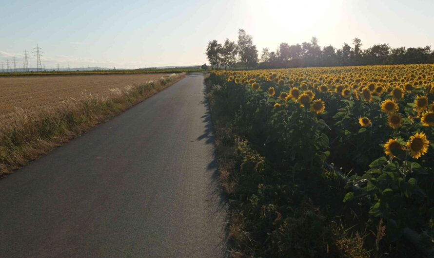 Radweg vor dem Roten Kreuz
