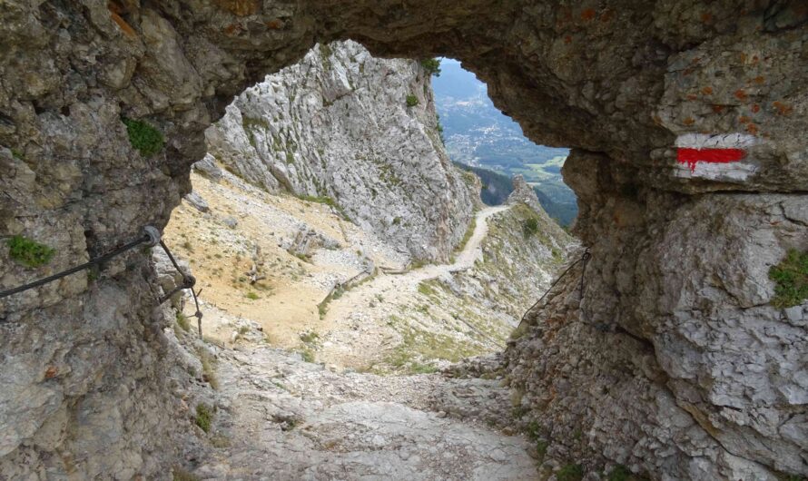 Törlweg