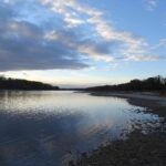 Abend an der Donau bei Eckartsau