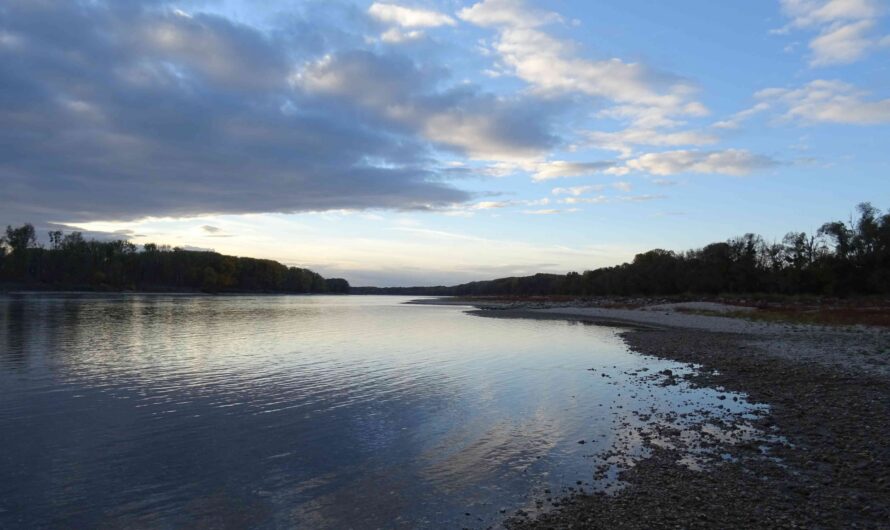 Abend an der Donau bei Eckartsau